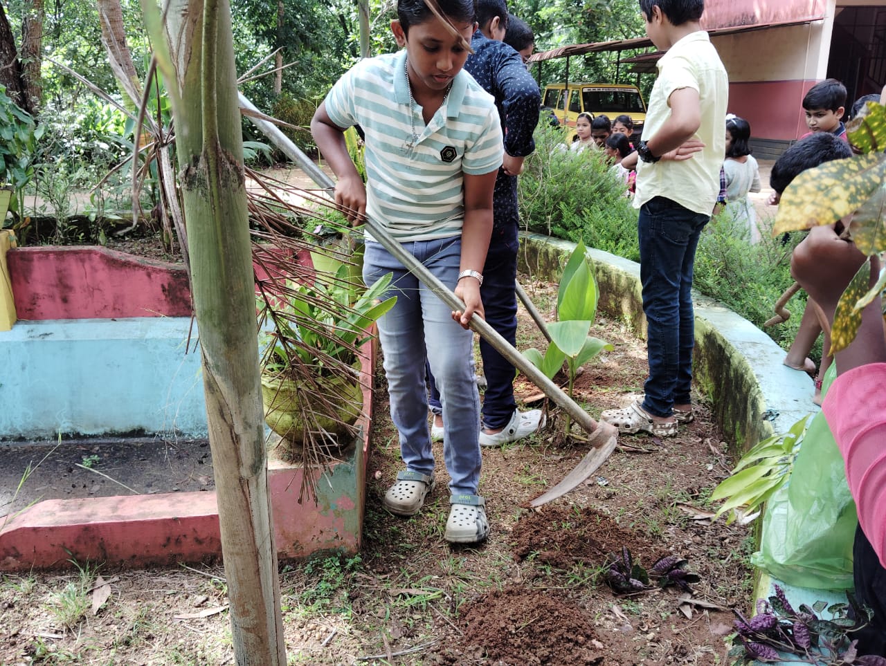 Environment day celebration